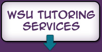 tutoring and SI options
