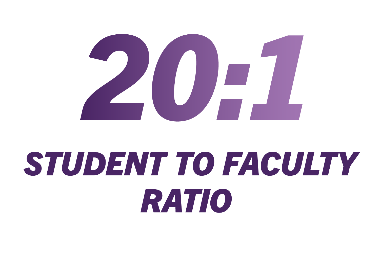Student to faculty ratio is 20 to 1