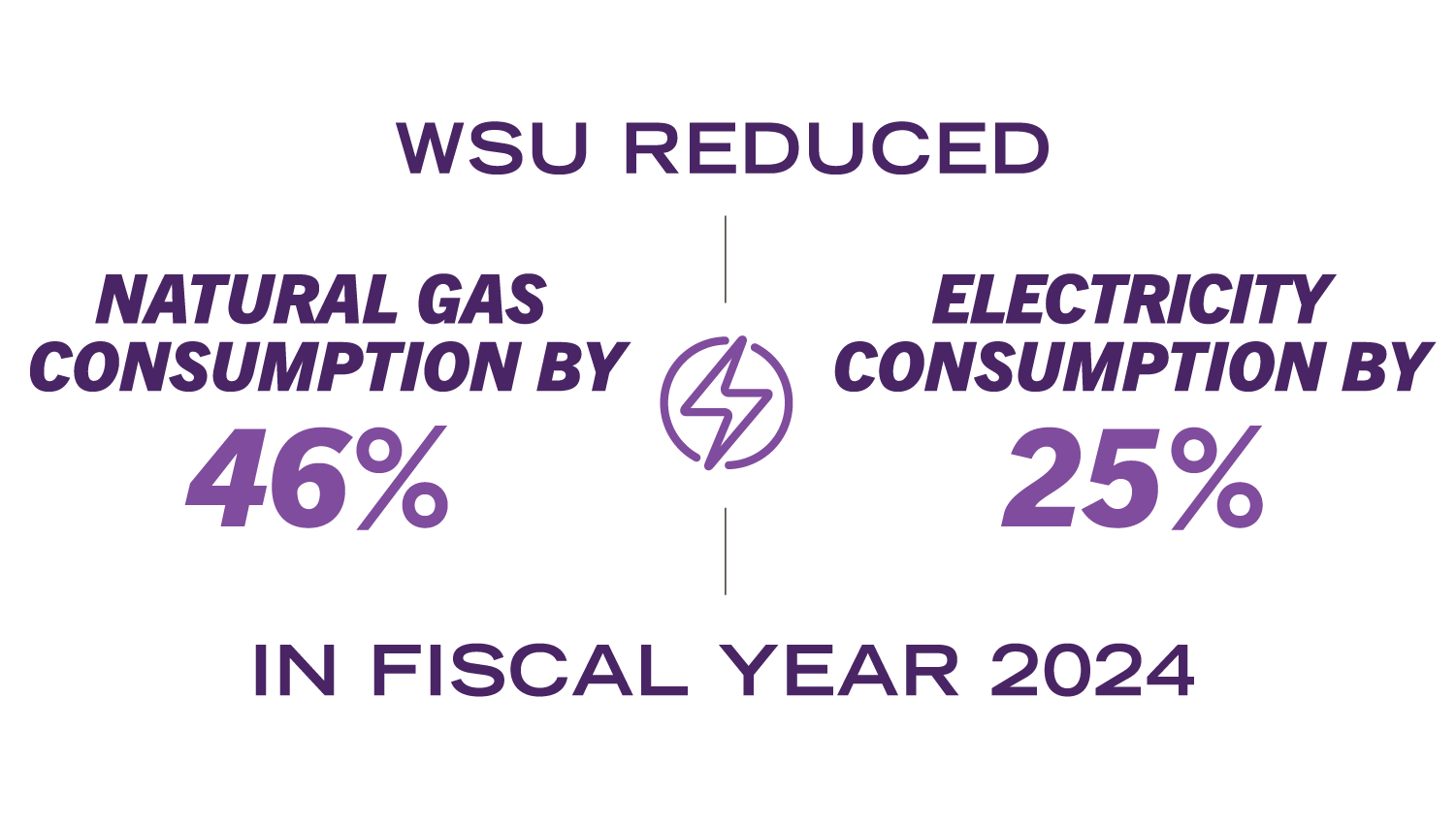 WSU reduced natural gas consumption by 46% and electricity consumption by 25% in fiscal year 2024