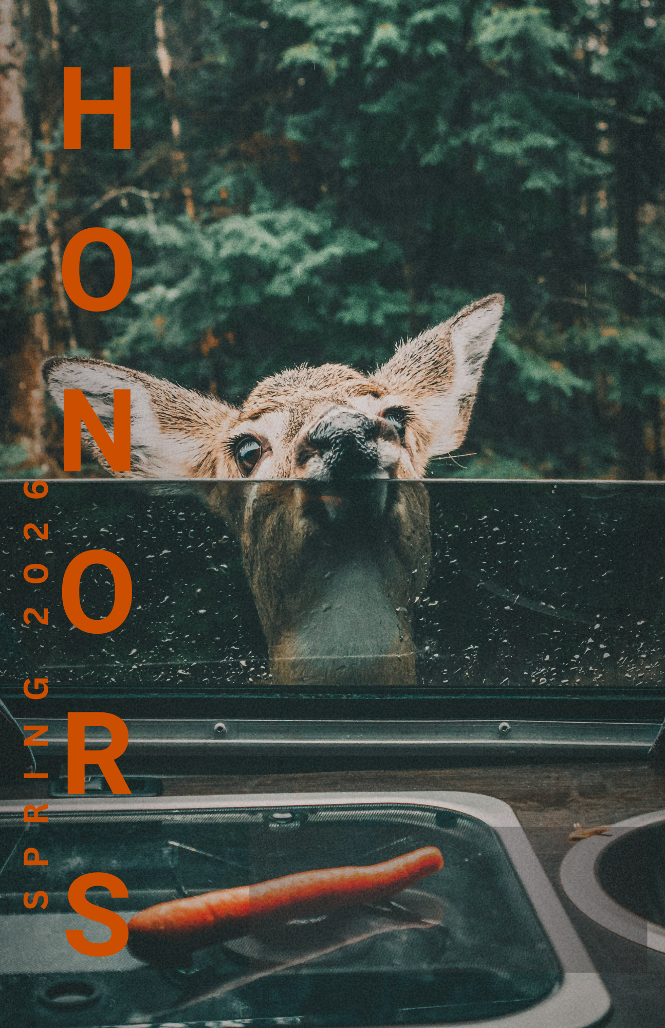 Introduction to Outdoor Adventure Recreation