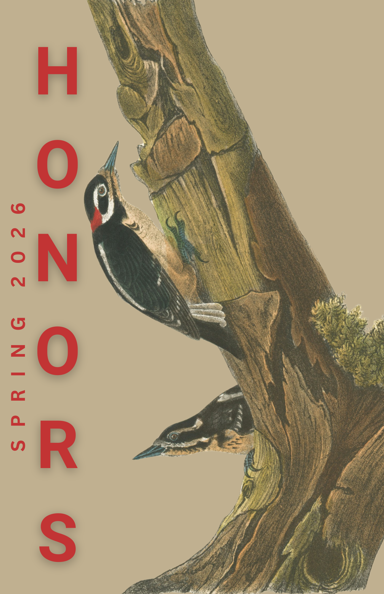 Tough as Woodpecker Lips