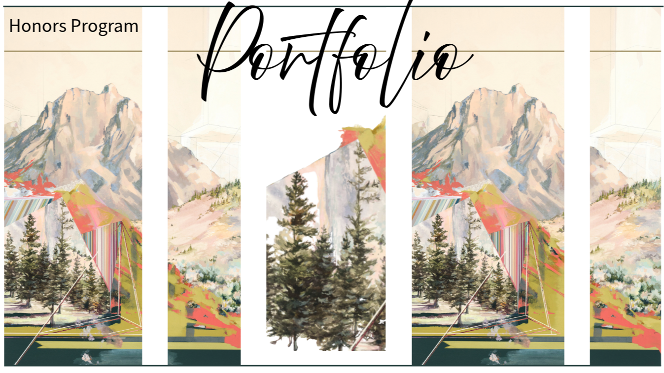 Portfolio Development