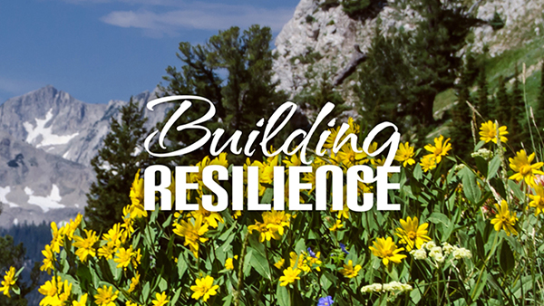 Building Resilience