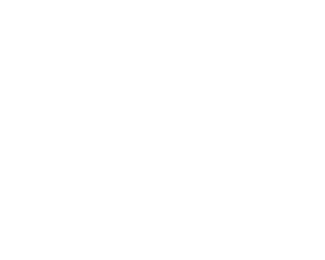 80% of WSU faculty have terminal degrees.