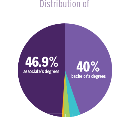 In 2021-22, 86% of WSU students earned an associate's or a bachelor's degree. 12% earned doctoral degrees, master’s or certificates.