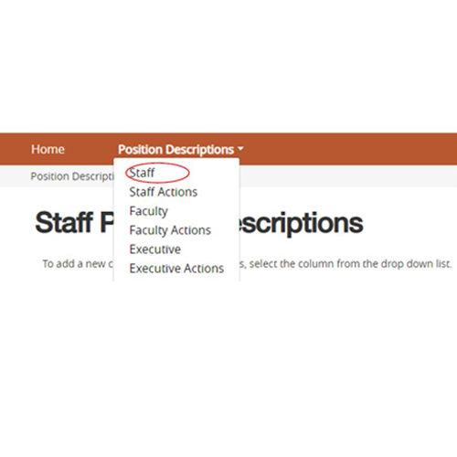 select staff from Position Description dropdown