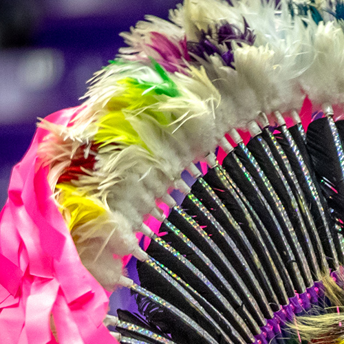 Native American feather headdress