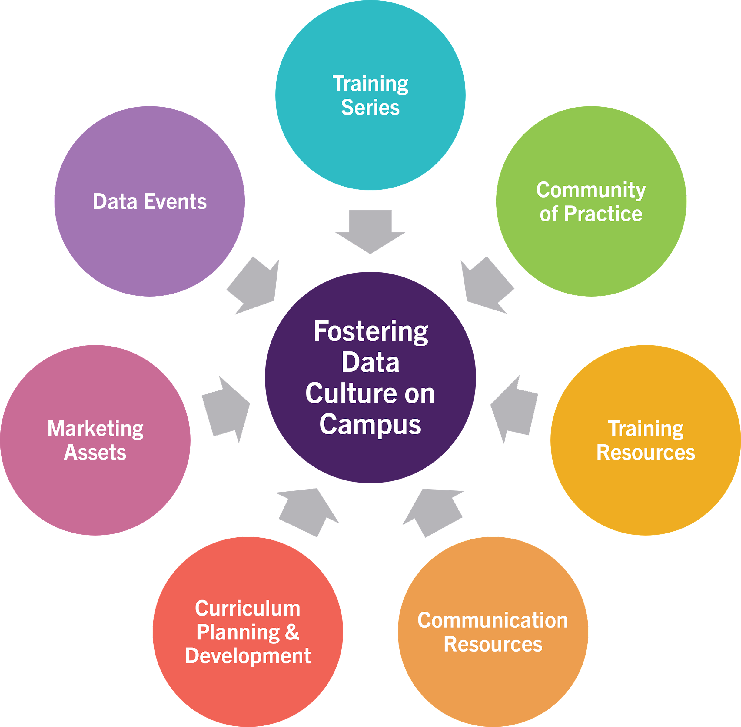 Elements that foster the data culture on campus include data events; marketing assets; curriculum, planning & development; communication resources; training resources; community of practice; and training series.