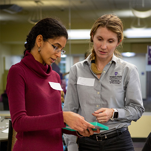 Two WSU faculty collaborating.