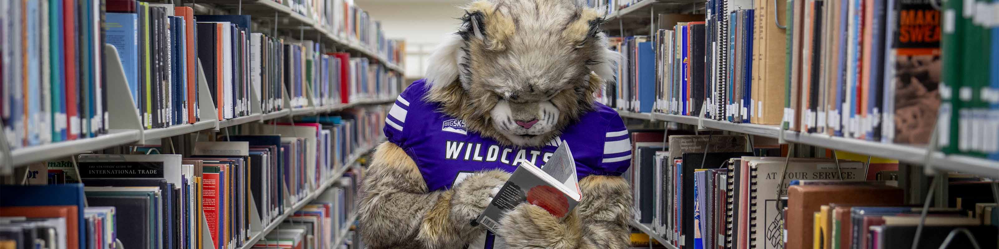Waldo Wildcat reading book between to shelves of books in library.