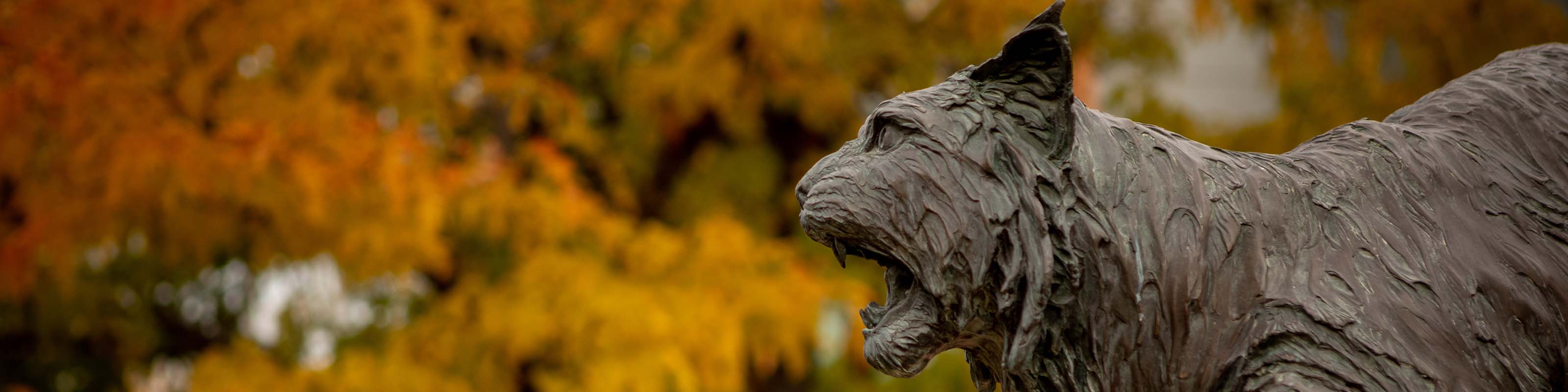 Wildcat statue against fall leaves backdrop on WSU Campus.