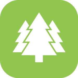 Environmental Impact Icon