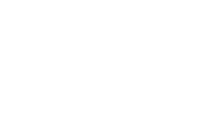 Budget Servies Logo