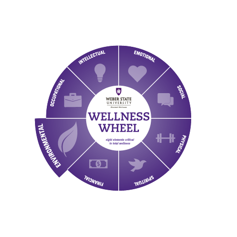 environmental wellness