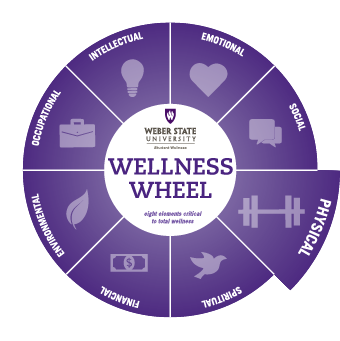 physical wellness