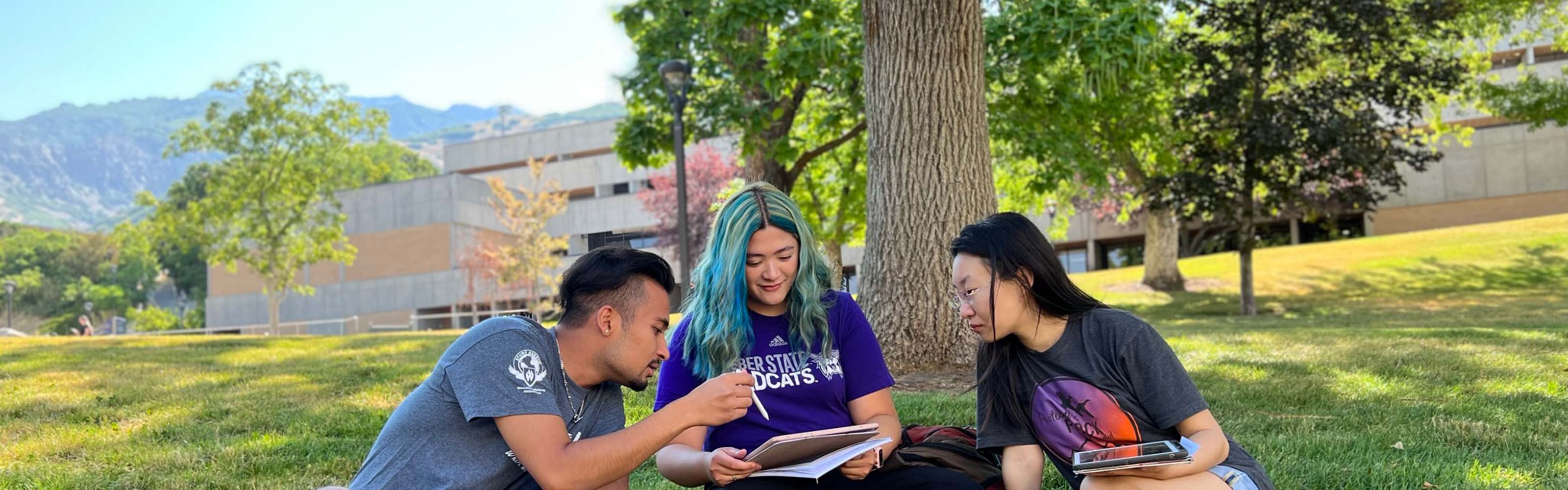 Three students studying underneath a tree on Weber State University's campus.