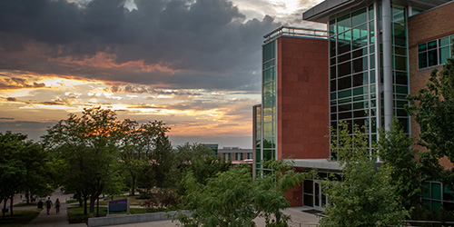 WSU Campus at sunset