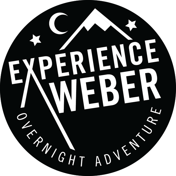 experience weber