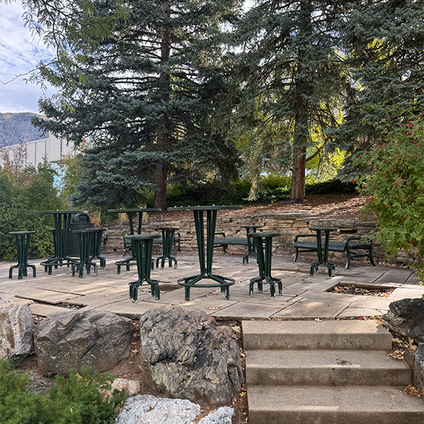 Photo taken in between Shepherd Union and Stewart Library