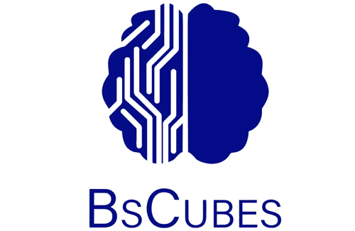 BS Cubes