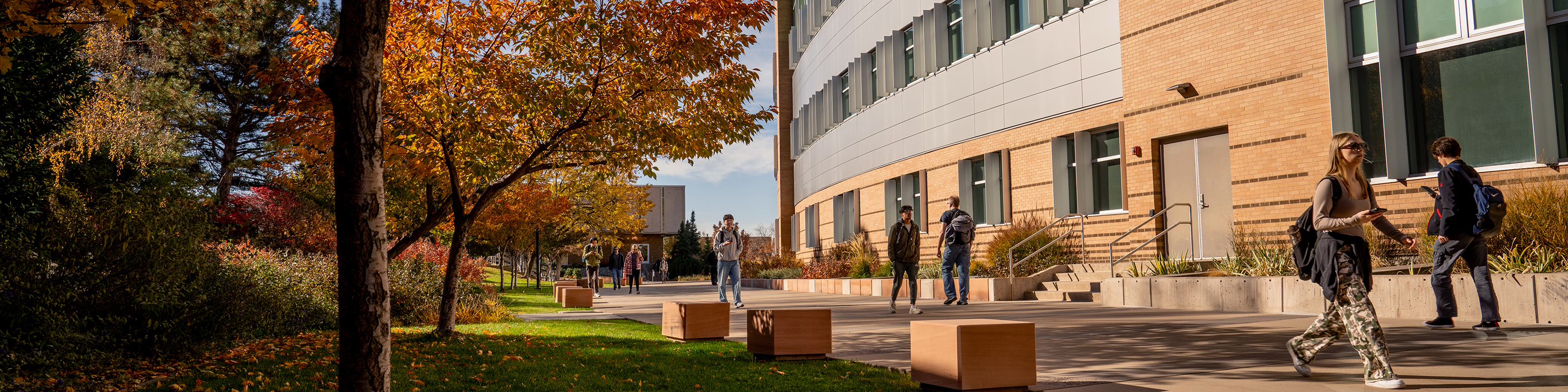 Students walking on campus in fall.