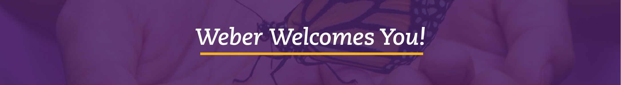 Weber Welcomes You!