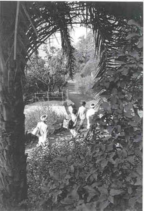 Black and white image of painting, "Mount Abu Portal," people can be seen walking through a portal of palm strees and other foliage.
