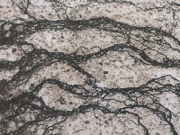 Microbial Marble, Lower Geyser Basin