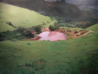 Pond, oil on canvas, 48” x 64”