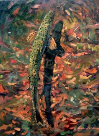 John Collins, "Trout at Big Springs," 2003, oil, 16" x 20"